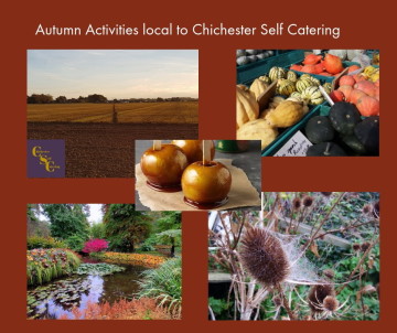 Autumn Activities local to Chichester