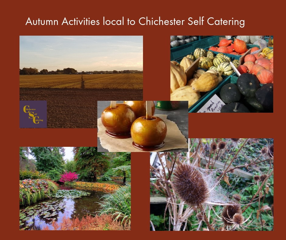 Autumn Activities local to Chichester