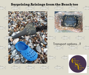 Surprising Arisings from the Beach! (2)