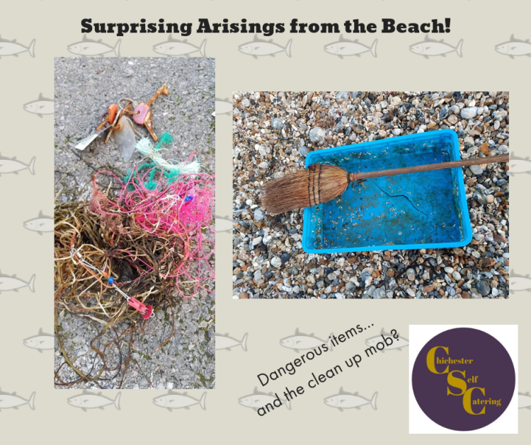 Surprising Arisings from the Beach!